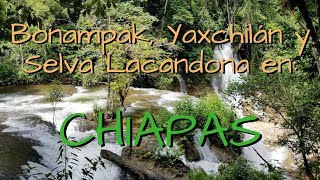 ¿Cómo ir a Bonampak Yaxchilán y la Selva Lacandona ¿Cuánto cuesta un tour en Chiapas [upl. by Notyep]