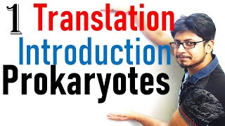 Translation in prokaryotes introduction  prokaryotic translation lecture 1 [upl. by Cirde]