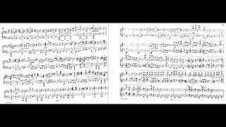 Brahms symphony 1 piano 4 hands Score [upl. by Harihs]