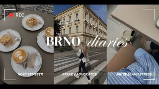 BRNO DIARIES II čtvrťák na právech praxe v advokátce amp jak se vyrovnat se stresem [upl. by Aihsenrad]