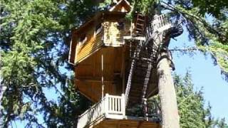 Treehouses in Takilma Oregon by Xplore Film [upl. by Walsh]