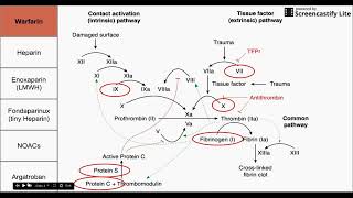 Anticoagulant Drugs [upl. by Nomelif]