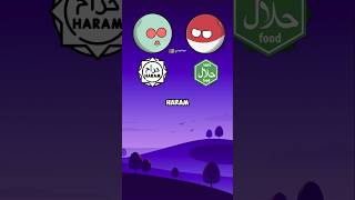 Pilih Halal Atau Haram animation countryballs shorts [upl. by Clay706]