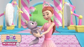 Chinchilla Spa Day  Doc McStuffins Pet Rescue  Disney Junior [upl. by Milton343]