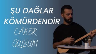 Caner Gülsüm  Şu Dağlar Kömürdendir 2024 KLİP türküler [upl. by Cleland]