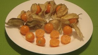 How to Eat Physalis Peruviana Cape Gooseberry Golden Berry Inca Berry [upl. by Malim]