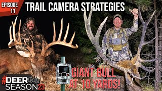 Deploying Summer Trail Cameras A GIANT Kansas Whitetail And A Screaming Bull Elk At 10 YARDS [upl. by Clive708]