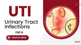 Urinary tract infections class 12  Urinary tract infections UTIs [upl. by Anemij]