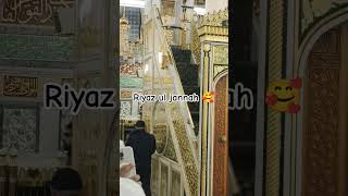 Riyaz ul jannah 🥰viralvideo love madina beautiful riyazuljannah islam [upl. by Gusella496]