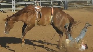 Ranch Broncs  2018 Will Rogers Range Riders Rodeo  Thursday [upl. by Reteid911]