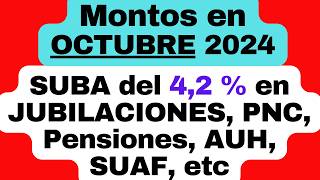 MONTOS a cobrar en OCTUBRE 2024 en JUBILACIONES PNC Pensiones AUH SUAF con la suba del 42 [upl. by Hinckley368]