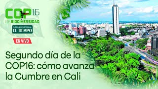 Segundo día de la COP16 le mostramos cómo avanza la Cumbre de Biodiversidad en Cali [upl. by Leraj]