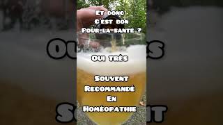 Du dépôt au fond de la bouteille de bière [upl. by Yrffoeg435]