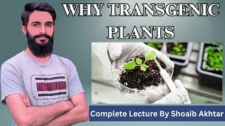 Why Transgenic plants Complete Lecture by Shoaib Akhtar [upl. by Gunther]