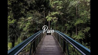 Josh A  Pain Lyrics [upl. by Assele]