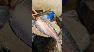 Amazing Hilsa Fish Cutting Skills In Bangladesh Local Fish Market Part6 shorts [upl. by Jameson]