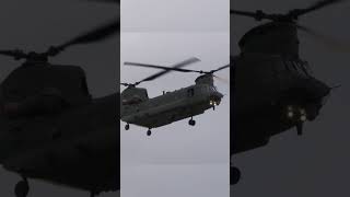 RAF Chinook landing at RAF Holbeach [upl. by Quintana]