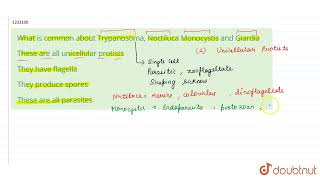 What is common about Trypanosoma Noctiluca Monocystis and Giardia  12  BIOLOGICAL CLASSIFICAT [upl. by Doe393]