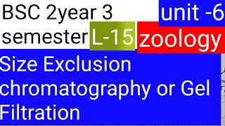 BSC 2nd year 3 semester zoology topic Size Exclusion chromatography o Gel filtration [upl. by Fessuoy]