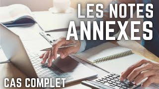 Les états financiers  les Notes Annexes [upl. by Einhoj]