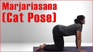 Ashtanga Yoga Marjariasana Cat Pose amp Its Benefits [upl. by Sally630]