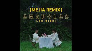 Leo Rizzi  Amapolas Mejia Remix [upl. by Gladis]