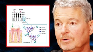 Functional Dentist Everything You NEED to Know About Hydroxyapatite  Dr Mark Burhenne [upl. by Adiari]