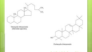 SAPONIN GLYCOSIDES [upl. by Annua]