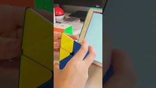 Best of Day 300 Pyraminx Challenge 438 noobcuber asmr cubing [upl. by Elephus]