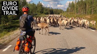 I Found Ryan Van Duzer in the Swedish forest and joined him on a bikepacking adventure [upl. by Colvin820]