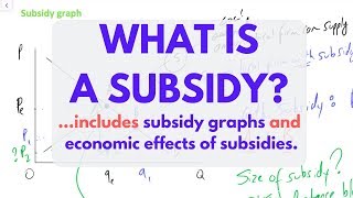 What is a SUBSIDY Subsidies EXPLAINED [upl. by Amery]