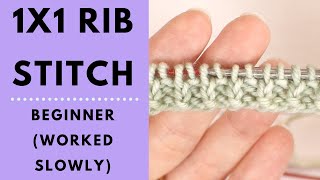 1x1 Rib Stitch for Beginners  Learn to Knit [upl. by Adyl]