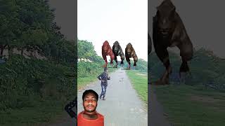 Big ❤️dinosaur chase TRex chasing😱 🦖shorts dinosaur youtube dinosaurs 🦖 [upl. by Aikenahs649]