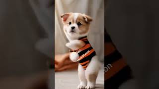 This Puppy Can Dance 🐕✨ PuppyDance ViralShorts WiggleWaggle [upl. by Dreda]