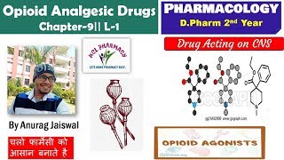 Opoid Analgesic  L1 Chapter9  Pharmacology [upl. by Nihahs903]