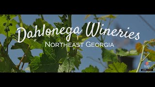 Dahlonega Georgia Wineries [upl. by Fionnula]