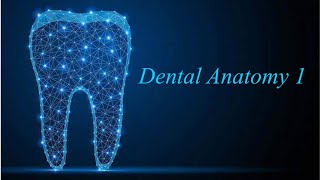 8  Mixed Dentition Part 2 [upl. by Krystin809]