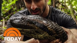 Eaten Alive By Anaconda Why I Did It  TODAY [upl. by Abrams304]