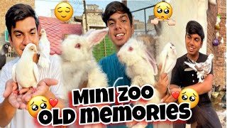 Sw pet house Mini zoo memories ✨ PetHouse786 [upl. by Bucher]