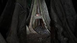 Sleeping under the shade of a giant tree a snake slithers in at midnight camping bushcraft relax [upl. by Nylirahs]