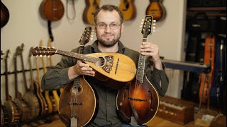 Bowl Back Tater Bug Mandolin vs Oval Hole vs F Hole Mandolin [upl. by Anilok]