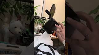 UNBOXING FROM TIKTOK DIESEL SLING BAG Auntie Marga Vlog [upl. by Doolittle]