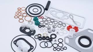 BASCOLIN CAV Injector Pump Repair kit 7135110 Reseal Kits Lucas injection pump parts [upl. by Faria492]