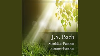 JS Bach St John Passion BWV 245  Part Two  No 39 quotRuht wohl ihr heiligen Gebeinequot [upl. by Aronael]