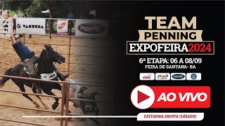 EXPOFEIRA 6ª Etapa Campeonato Baiano de Team Penning 2024 CATEGORIA ABERTA [upl. by Bowra805]