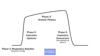 Capnography Waveforms Normal Waveforms Explained [upl. by Kalman846]