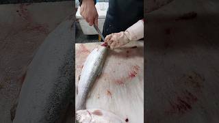 trout cleaning fillet in fish market shorts [upl. by Omarr890]