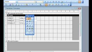Access 2003 Insertar calendario en un formulario  wwwofimaticaparatorpescom [upl. by Ada]