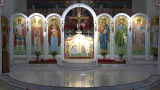 8th Sunday of Luke November 10 2024 Orthros 815am Divine Liturgy 930am [upl. by Hillhouse]