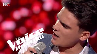 Martin Kosovec quotIll Never Fall In Love Againquot  Nokaut 3  The Voice Hrvatska  Sezona 4 [upl. by Nance]